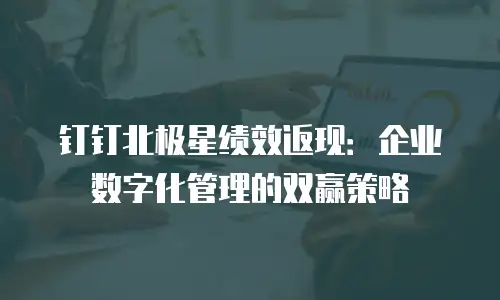 钉钉北极星绩效返现：企业数字化管理的双赢策略