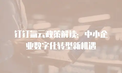 钉钉氚云政策解读：中小企业数字化转型新机遇