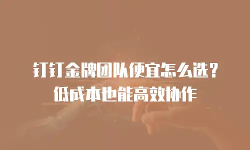 钉钉金牌团队便宜怎么选？低成本也能高效协作