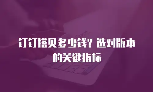 钉钉搭贝多少钱？选对版本的关键指标
