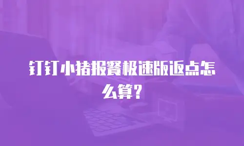 钉钉小猪报餐极速版返点怎么算？