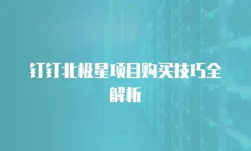 钉钉北极星项目购买技巧全解析