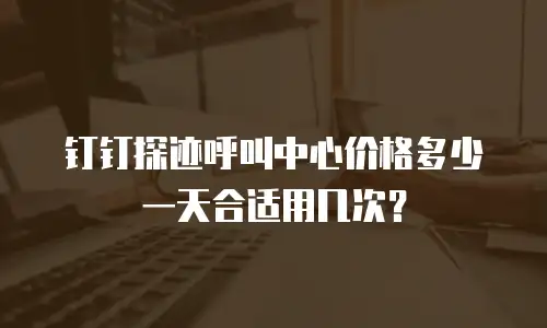 钉钉探迹呼叫中心价格多少一天合适用几次？
