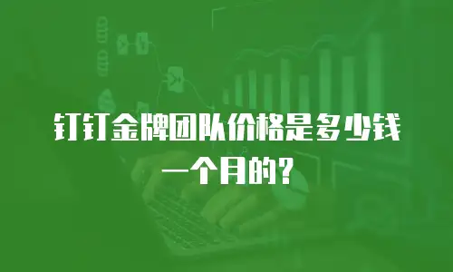 钉钉金牌团队价格是多少钱一个月的？