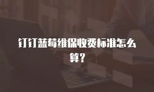 钉钉蓝莓维保收费标准怎么算？