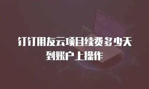 钉钉用友云项目续费多少天到账户上操作