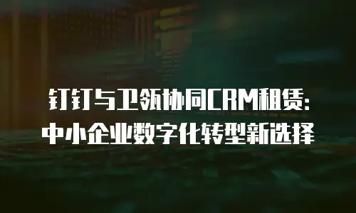 钉钉与卫瓴协同CRM租赁：中小企业数字化转型新选择