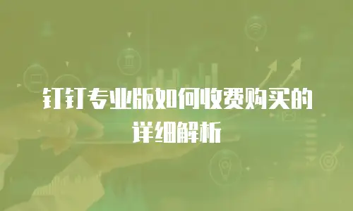 钉钉专业版如何收费购买的详细解析