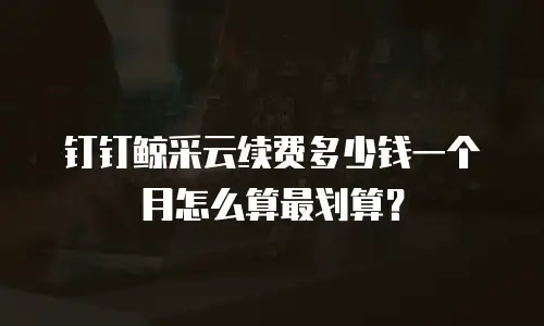 钉钉鲸采云续费多少钱一个月怎么算最划算？