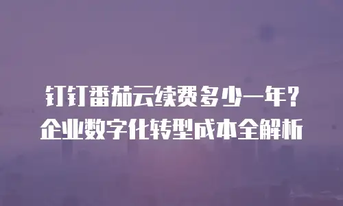 钉钉番茄云续费多少一年？企业数字化转型成本全解析