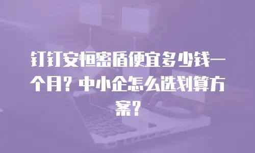 钉钉安恒密盾便宜多少钱一个月？中小企怎么选划算方案？