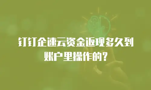 钉钉企速云资金返现多久到账户里操作的？