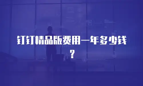 钉钉精品版费用一年多少钱？