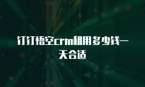 钉钉悟空crm租用多少钱一天合适