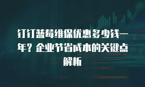 钉钉蓝莓维保优惠多少钱一年？企业节省成本的关键点解析