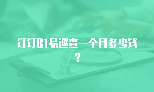 钉钉B1易巡查一个月多少钱？