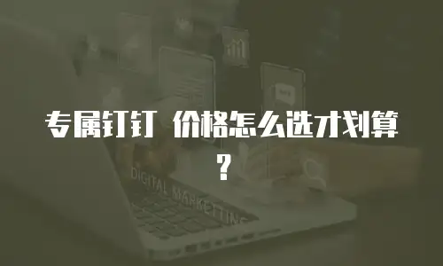 专属钉钉 价格怎么选才划算？