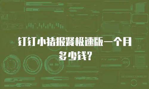 钉钉小猪报餐极速版一个月多少钱？