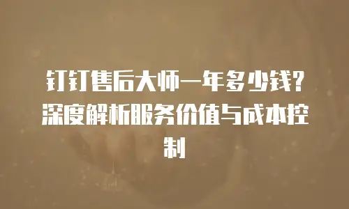 钉钉售后大师一年多少钱？深度解析服务价值与成本控制