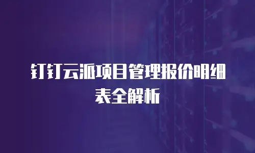 钉钉云派项目管理报价明细表全解析