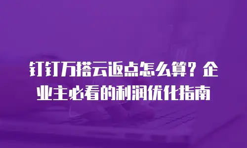 钉钉万搭云返点怎么算？企业主必看的利润优化指南