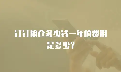 钉钉粮仓多少钱一年的费用是多少？