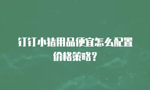 钉钉小猪用品便宜怎么配置价格策略？