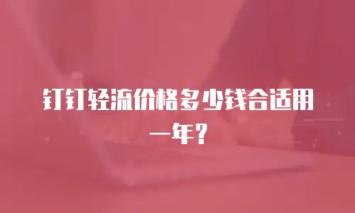 钉钉轻流价格多少钱合适用一年？