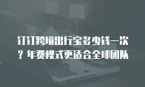 钉钉跨境出行宝多少钱一次？年费模式更适合全球团队