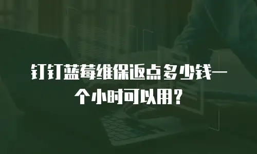钉钉蓝莓维保返点多少钱一个小时可以用？