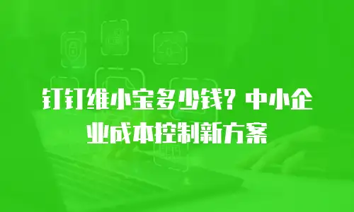 钉钉维小宝多少钱？中小企业成本控制新方案