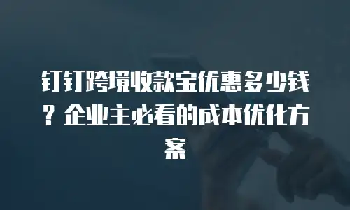 钉钉跨境收款宝优惠多少钱？企业主必看的成本优化方案