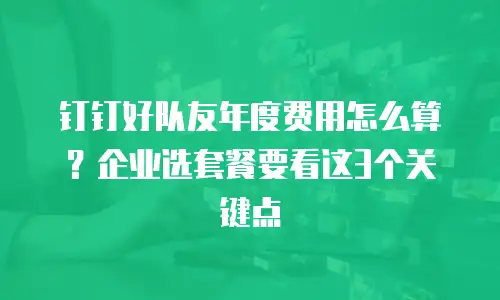 钉钉好队友年度费用怎么算？企业选套餐要看这3个关键点