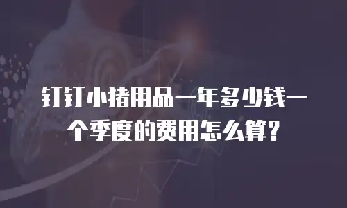 钉钉小猪用品一年多少钱一个季度的费用怎么算？