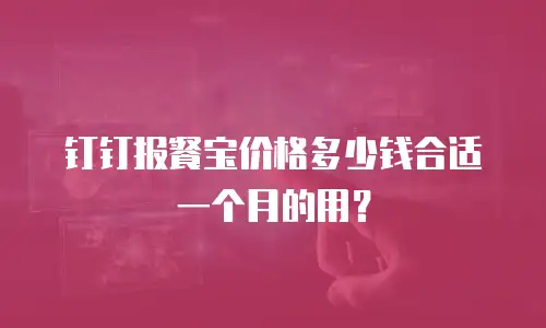 钉钉报餐宝价格多少钱合适一个月的用？