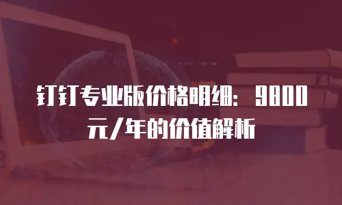 钉钉专业版价格明细：9800元/年的价值解析