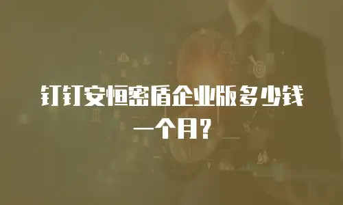 钉钉安恒密盾企业版多少钱一个月？