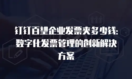 钉钉百望企业发票夹多少钱：数字化发票管理的创新解决方案