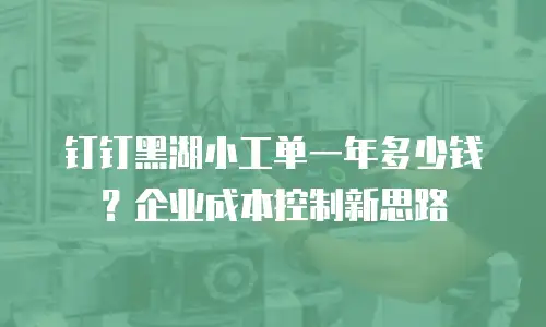 钉钉黑湖小工单一年多少钱？企业成本控制新思路