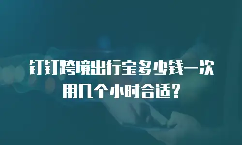 钉钉跨境出行宝多少钱一次用几个小时合适？