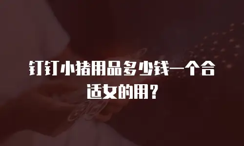 钉钉小猪用品多少钱一个合适女的用？