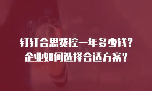钉钉合思费控一年多少钱？企业如何选择合适方案？