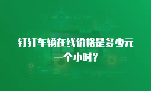 钉钉车辆在线价格是多少元一个小时？