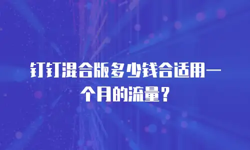 钉钉混合版多少钱合适用一个月的流量？