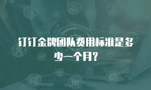 钉钉金牌团队费用标准是多少一个月？