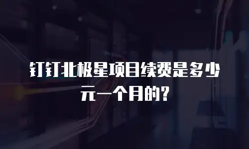 钉钉北极星项目续费是多少元一个月的？