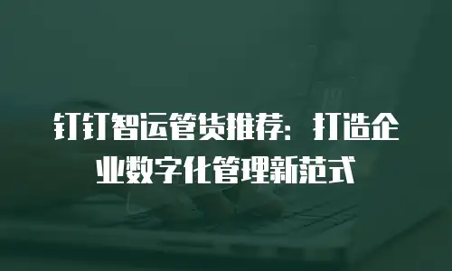 钉钉智运管货推荐：打造企业数字化管理新范式