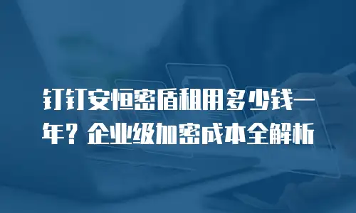 钉钉安恒密盾租用多少钱一年？企业级加密成本全解析