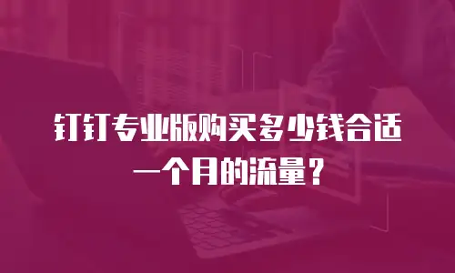 钉钉专业版购买多少钱合适一个月的流量？