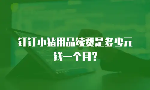 钉钉小猪用品续费是多少元钱一个月？
